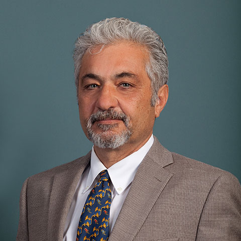 Bijan Nikravesh